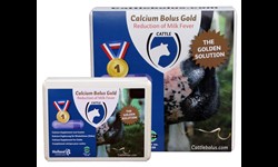 BOLUS Calcium GOLD (12 bolis/boîte)